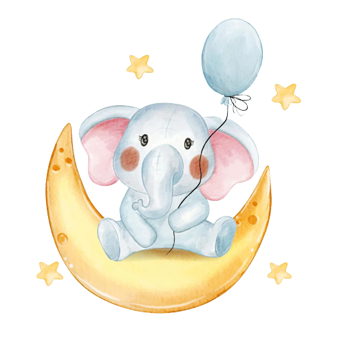 İnteraktif Hizmetler 